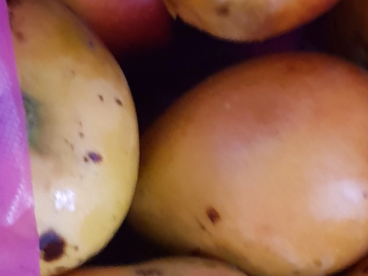 Mangos