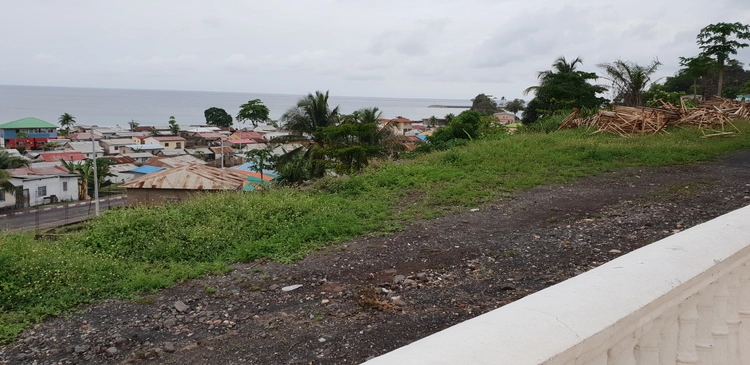 Foto de Sana Toñi Palea 