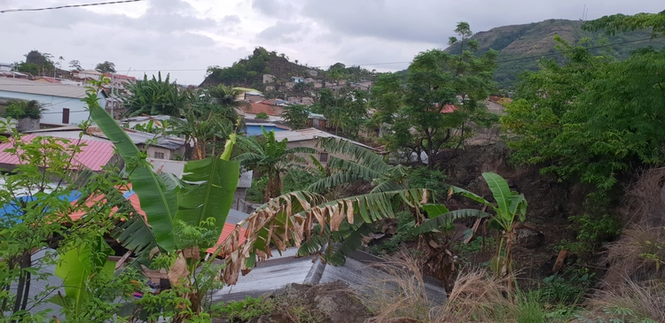 Foto de Sana Toñi Palea